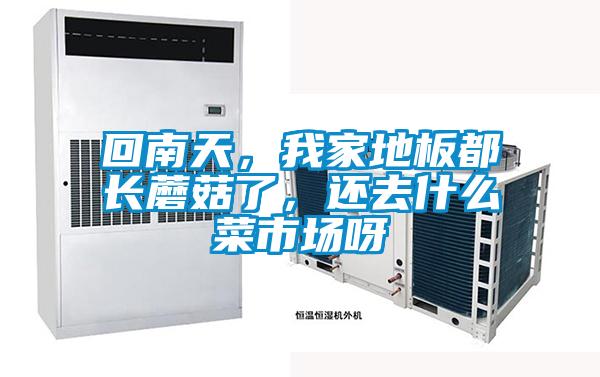 回南天，我家地板都長蘑菇了，還去什么菜市場呀
