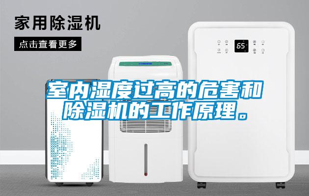 室內(nèi)濕度過(guò)高的危害和除濕機(jī)的工作原理。