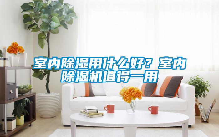 室內(nèi)除濕用什么好？室內(nèi)除濕機(jī)值得一用