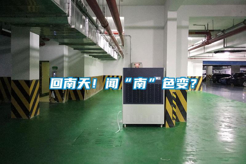 回南天！聞“南”色變？