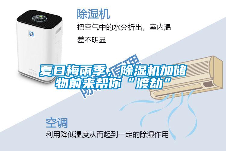 夏日梅雨季，除濕機(jī)加儲(chǔ)物前來幫你“渡劫”
