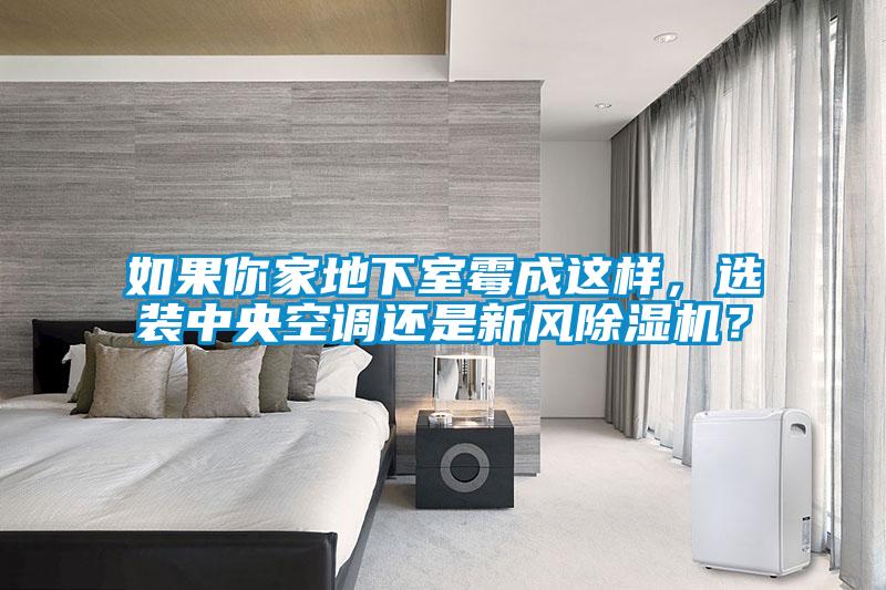如果你家地下室霉成這樣，選裝中央空調(diào)還是新風(fēng)除濕機(jī)？