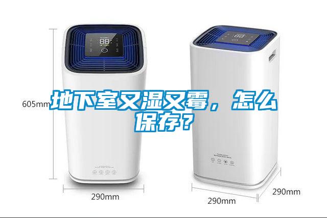 地下室又濕又霉，怎么保存？