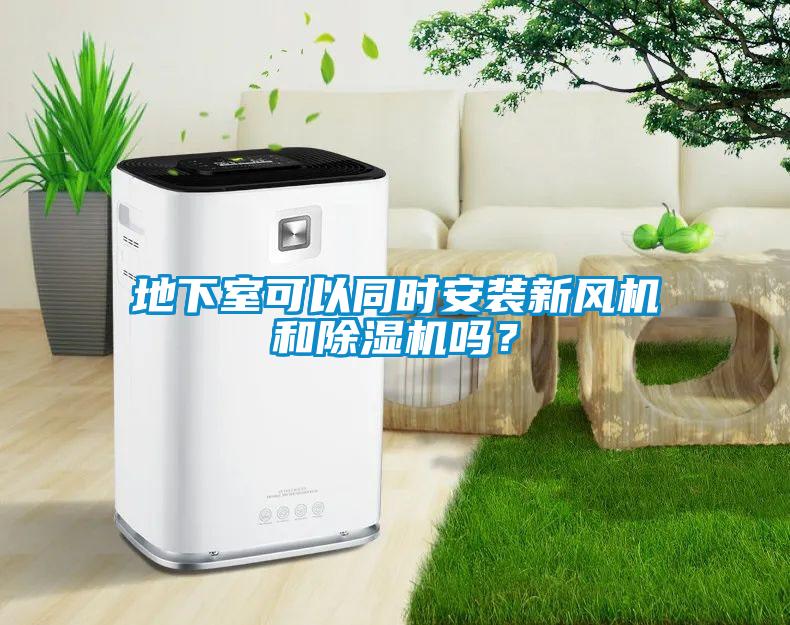 地下室可以同時安裝新風機和除濕機嗎？