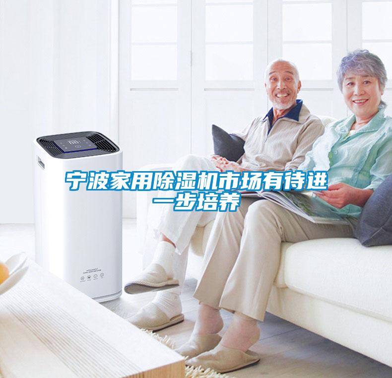 寧波家用除濕機市場有待進(jìn)一步培養(yǎng)