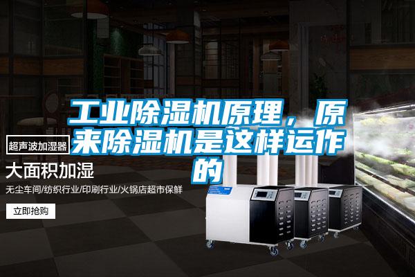 工業(yè)除濕機(jī)原理，原來除濕機(jī)是這樣運(yùn)作的