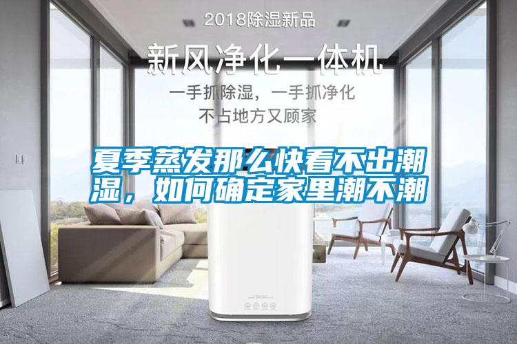 夏季蒸發(fā)那么快看不出潮濕，如何確定家里潮不潮