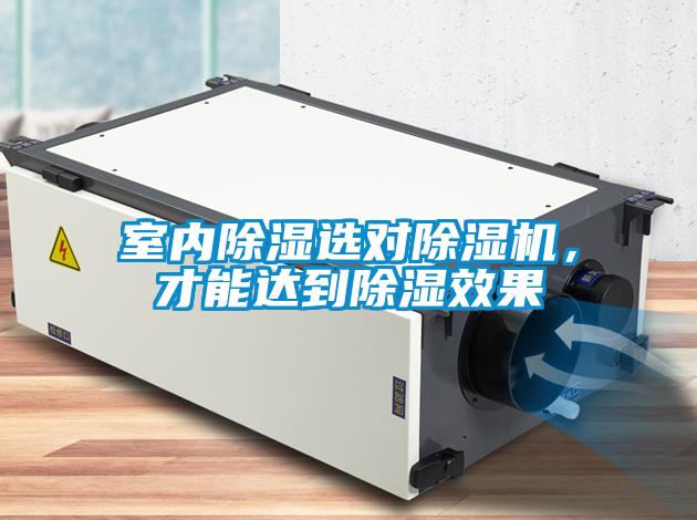 室內(nèi)除濕選對(duì)除濕機(jī)，才能達(dá)到除濕效果