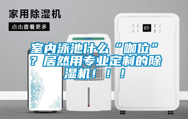 室內(nèi)泳池什么“咖位”？居然用專業(yè)定制的除濕機?。。?/></p>
						    <p style=