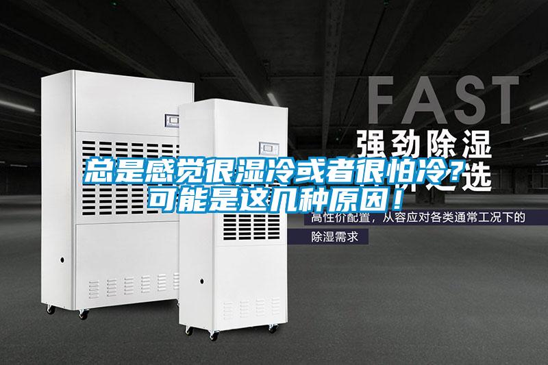 總是感覺很濕冷或者很怕冷？可能是這幾種原因！