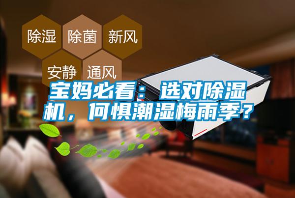寶媽必看：選對除濕機，何懼潮濕梅雨季？
