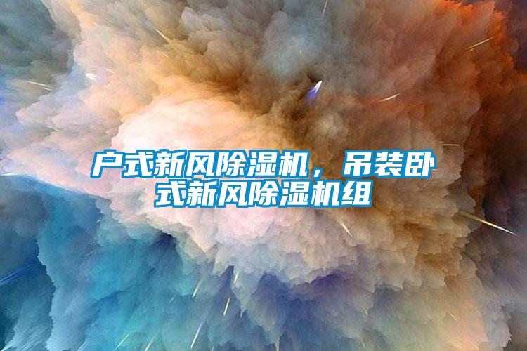 戶式新風除濕機，吊裝臥式新風除濕機組