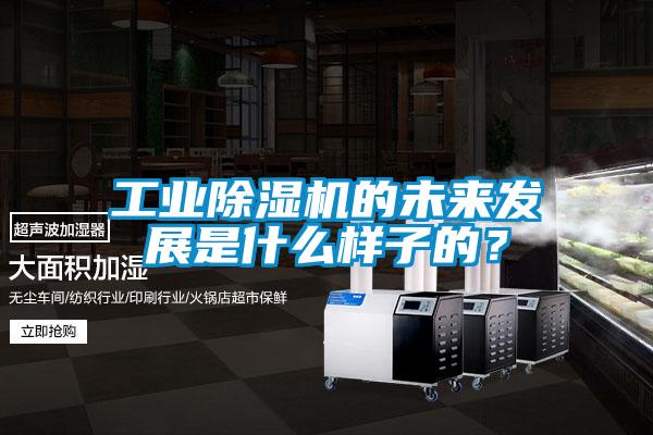 工業(yè)除濕機的未來發(fā)展是什么樣子的？