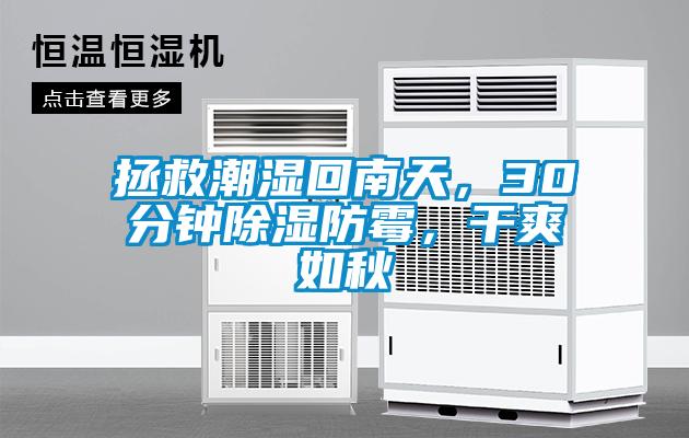 拯救潮濕回南天，30分鐘除濕防霉，干爽如秋