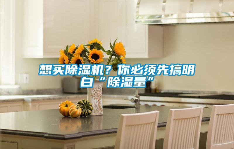 想買除濕機？你必須先搞明白“除濕量”
