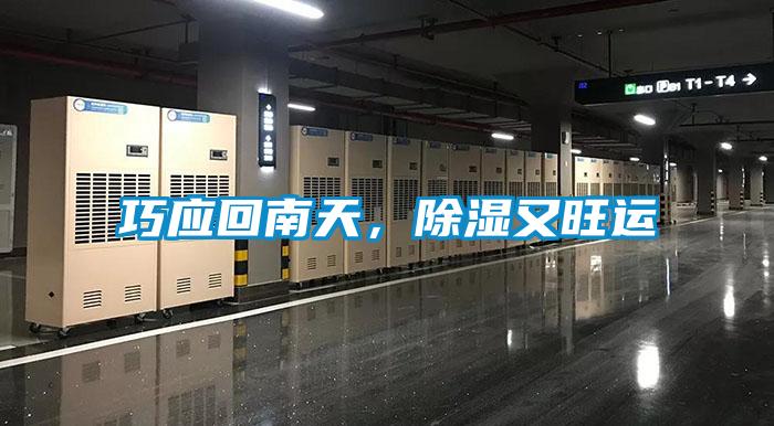 巧應(yīng)回南天，除濕又旺運(yùn)