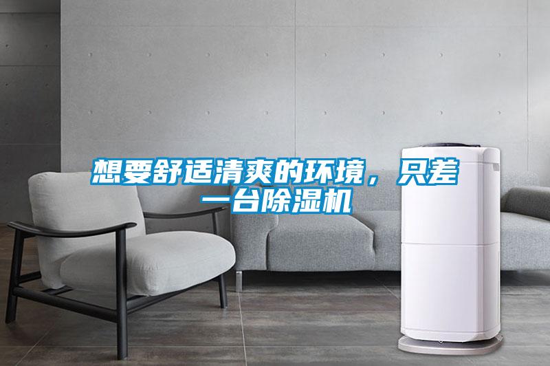 想要舒適清爽的環(huán)境，只差一臺除濕機