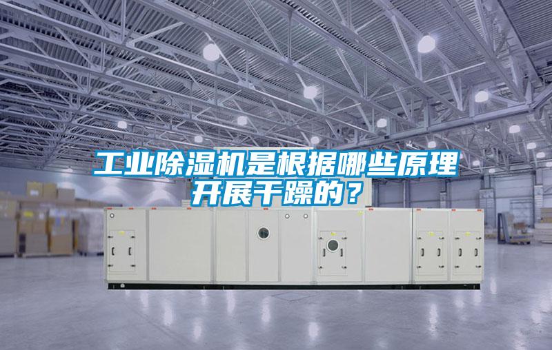 工業(yè)除濕機(jī)是根據(jù)哪些原理開展干躁的？