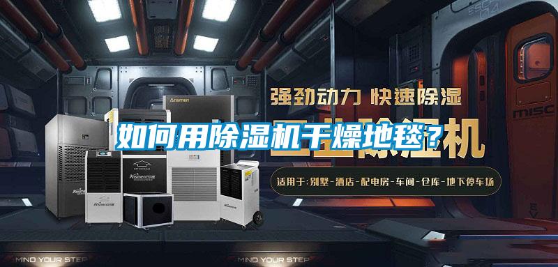 如何用除濕機(jī)干燥地毯？