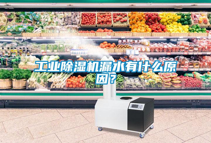工業(yè)除濕機(jī)漏水有什么原因？