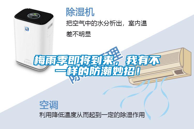 梅雨季即將到來(lái)，我有不一樣的防潮妙招！