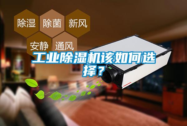 工業(yè)除濕機(jī)該如何選擇？
