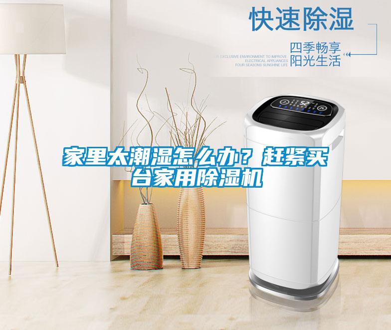 家里太潮濕怎么辦？趕緊買臺家用除濕機