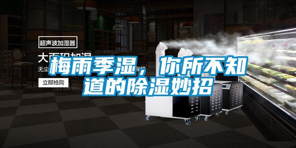 梅雨季濕，你所不知道的除濕妙招