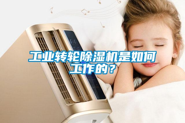 工業(yè)轉(zhuǎn)輪除濕機(jī)是如何工作的？