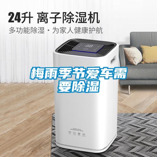 濕氣太重，大不如前！安詩(shī)曼除濕機(jī)還你健康好身體！