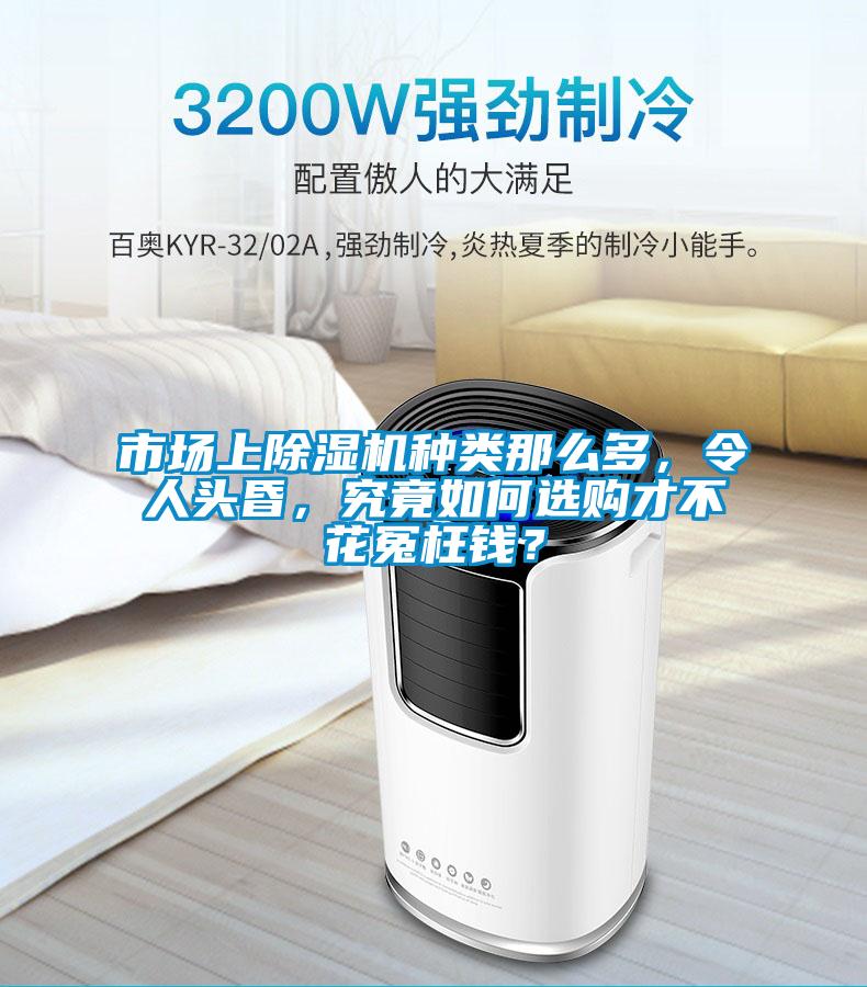 潮濕與霉菌對人類的危害你知道多少？
