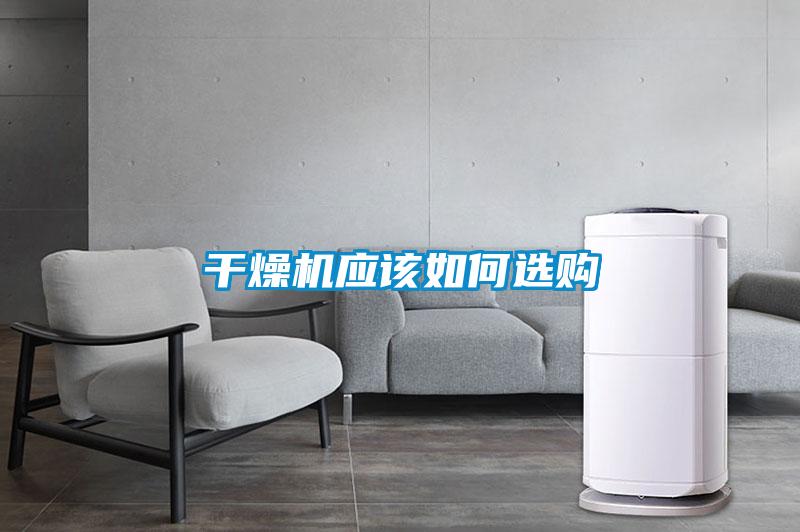 年年除濕年年濕，如何快速除濕？