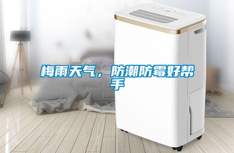 梅雨天氣，防潮防霉好幫手