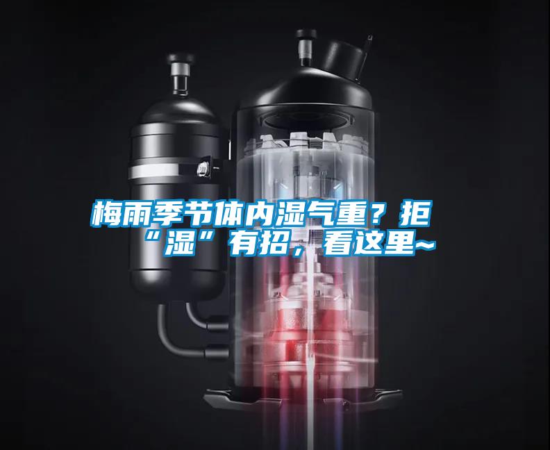 梅雨季節(jié)體內(nèi)濕氣重？拒“濕”有招，看這里~