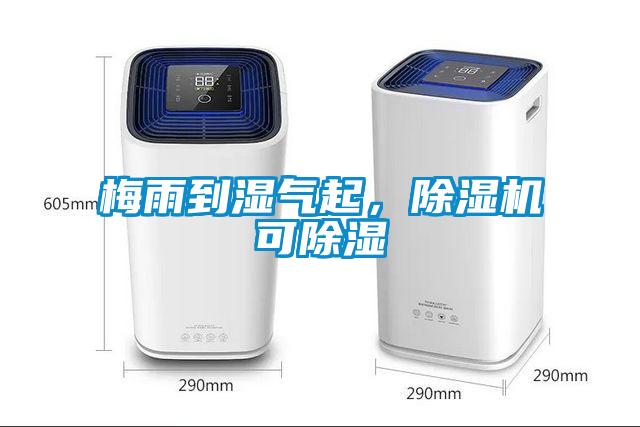 梅雨到濕氣起，除濕機可除濕
