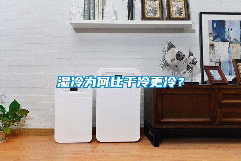 濕冷為何比干冷更冷？