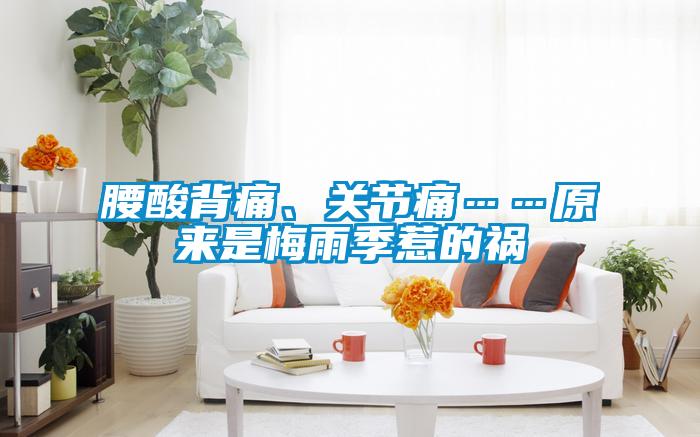 腰酸背痛、關(guān)節(jié)痛……原來(lái)是梅雨季惹的禍