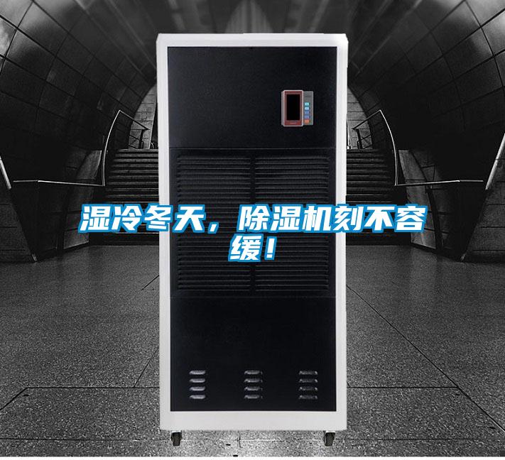 濕冷冬天，除濕機刻不容緩！