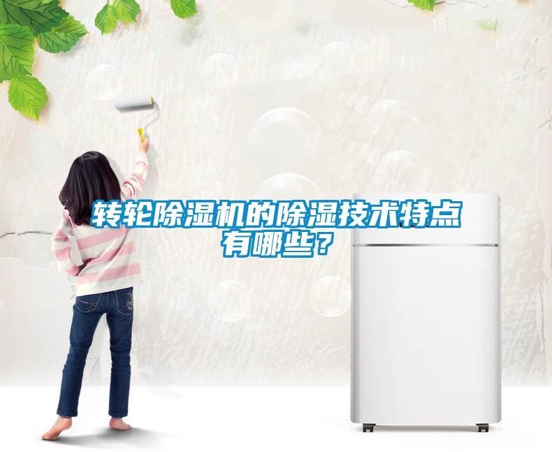 轉(zhuǎn)輪除濕機的除濕技術(shù)特點有哪些？
