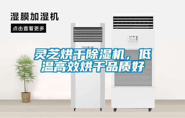 靈芝烘干除濕機，低溫高效烘干品質(zhì)好