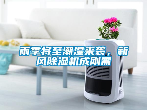 雨季將至潮濕來襲，新風(fēng)除濕機(jī)成剛需