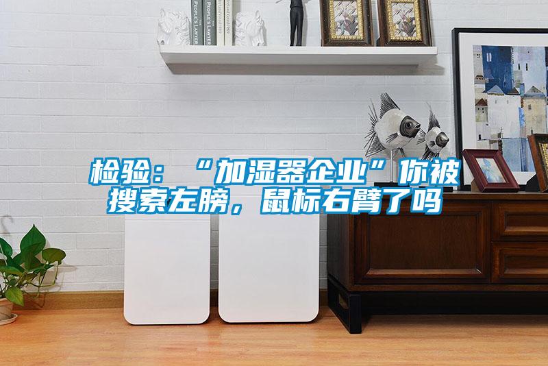 檢驗：“加濕器企業(yè)”你被搜索左膀，鼠標(biāo)右臂了嗎