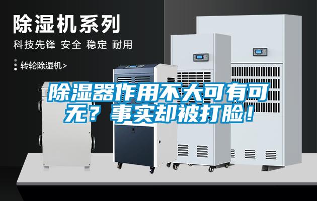 除濕器作用不大可有可無？事實卻被打臉！