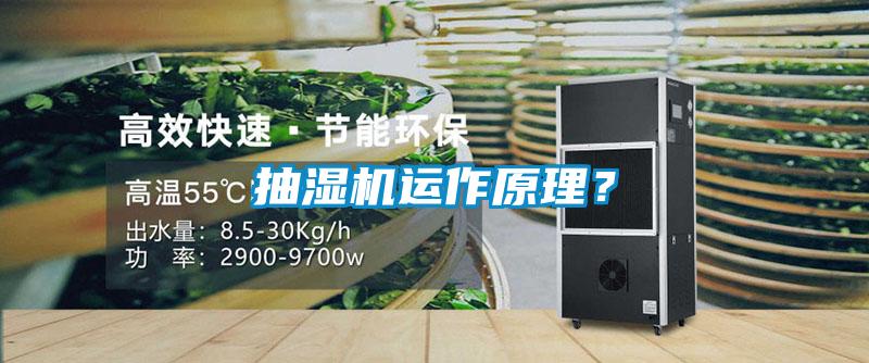 抽濕機運作原理？