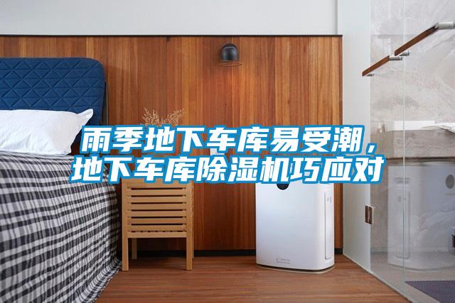 雨季地下車庫易受潮，地下車庫除濕機(jī)巧應(yīng)對