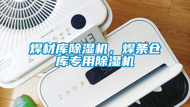 焊材庫(kù)除濕機(jī)，焊條倉(cāng)庫(kù)專(zhuān)用除濕機(jī)