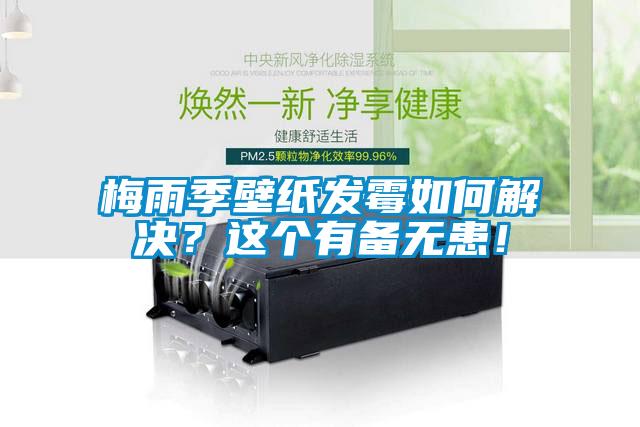 梅雨季壁紙發(fā)霉如何解決？這個(gè)有備無患！