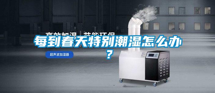 每到春天特別潮濕怎么辦？