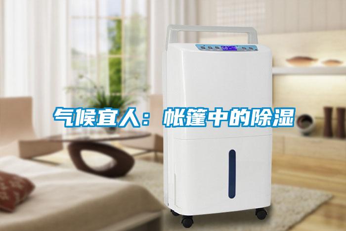 氣候宜人:帳篷中的除濕