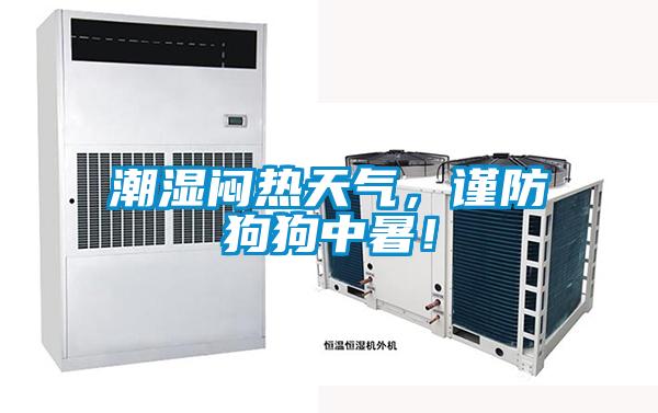 潮濕悶熱天氣，謹(jǐn)防狗狗中暑！